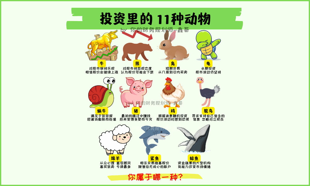 不同类型的投资者